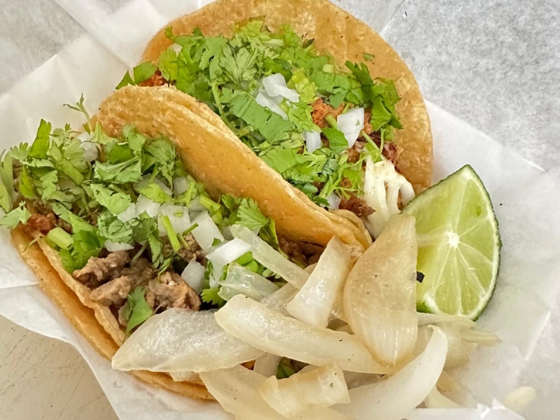 Taco Regular